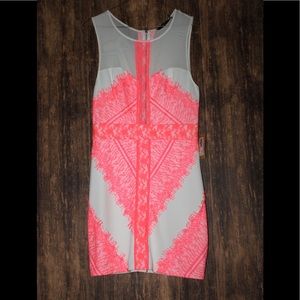 ARK & CO HOT PINK/WHITE CONTRAST LACE Dress NWT
